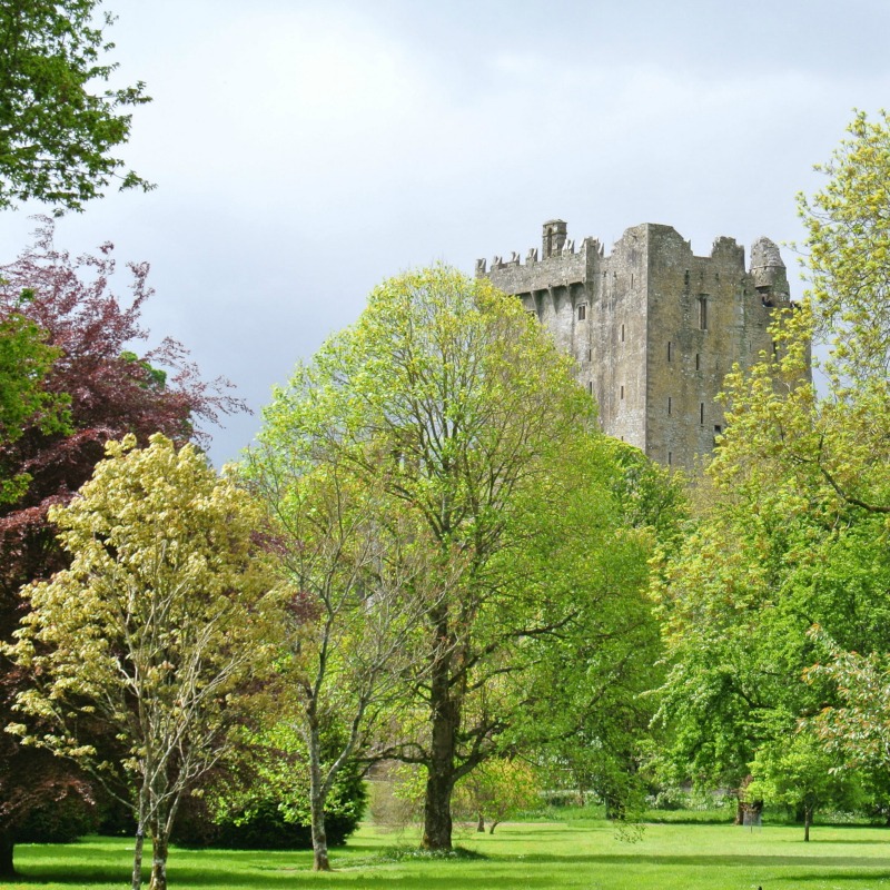 Does kissing The Blarney Stone give you the gift of the gab? Join me on a virtual visit to beautiful Blarney Castle to find out!