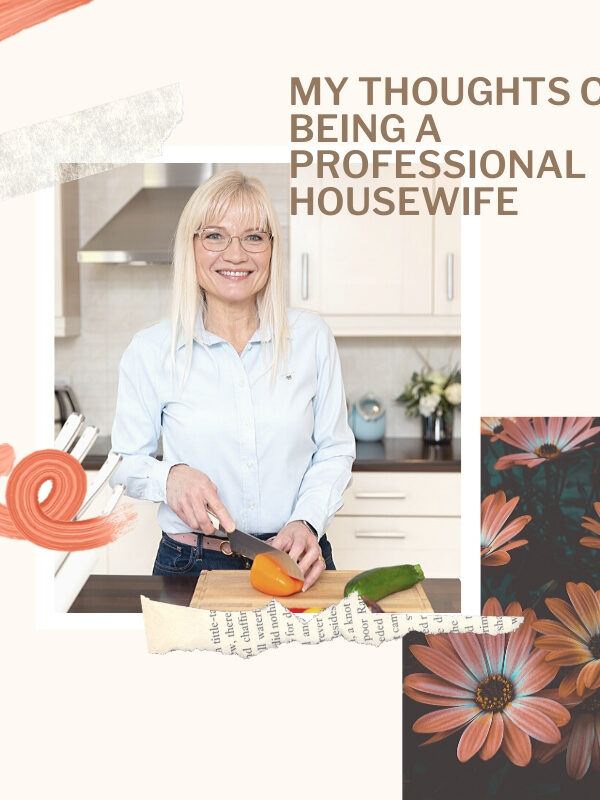 Thoughts on Being a Professional Housewife