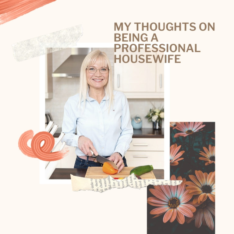 Thoughts on Being a Professional Housewife