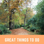 Things to Do in October