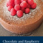 Chocolate and Raspberry Jam Cake dusted with icing sugar and topped with raspberries