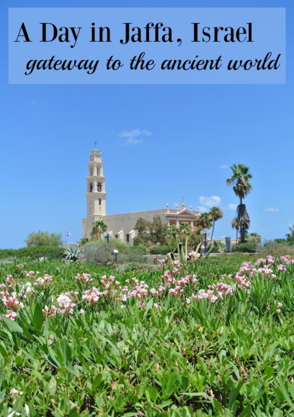 A view of St Peter's Church in Jaffa with a field of flowers in front