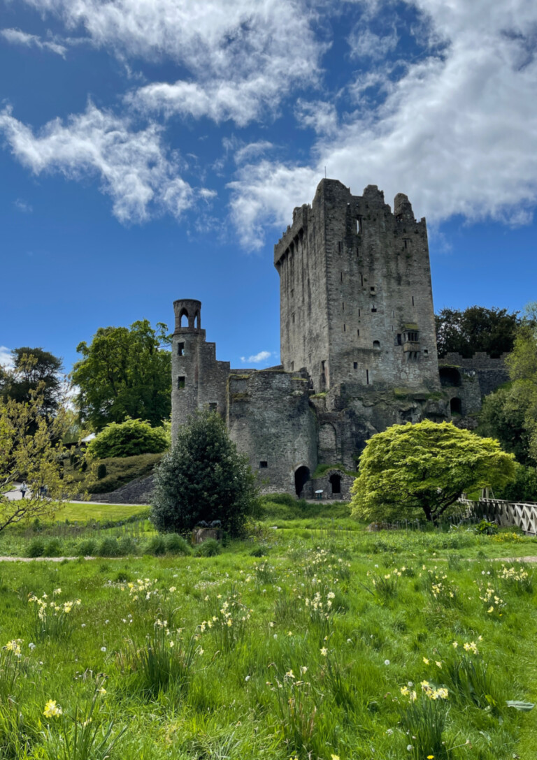 Have you kissed the Blarney Stone? A view of Blarney Castle on a sunny day