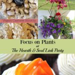 This week the focus is on plants at The Hearth and Soul Link Party - plants to eat, plants to decorate with and gardens! Join us to be inspired & to share!