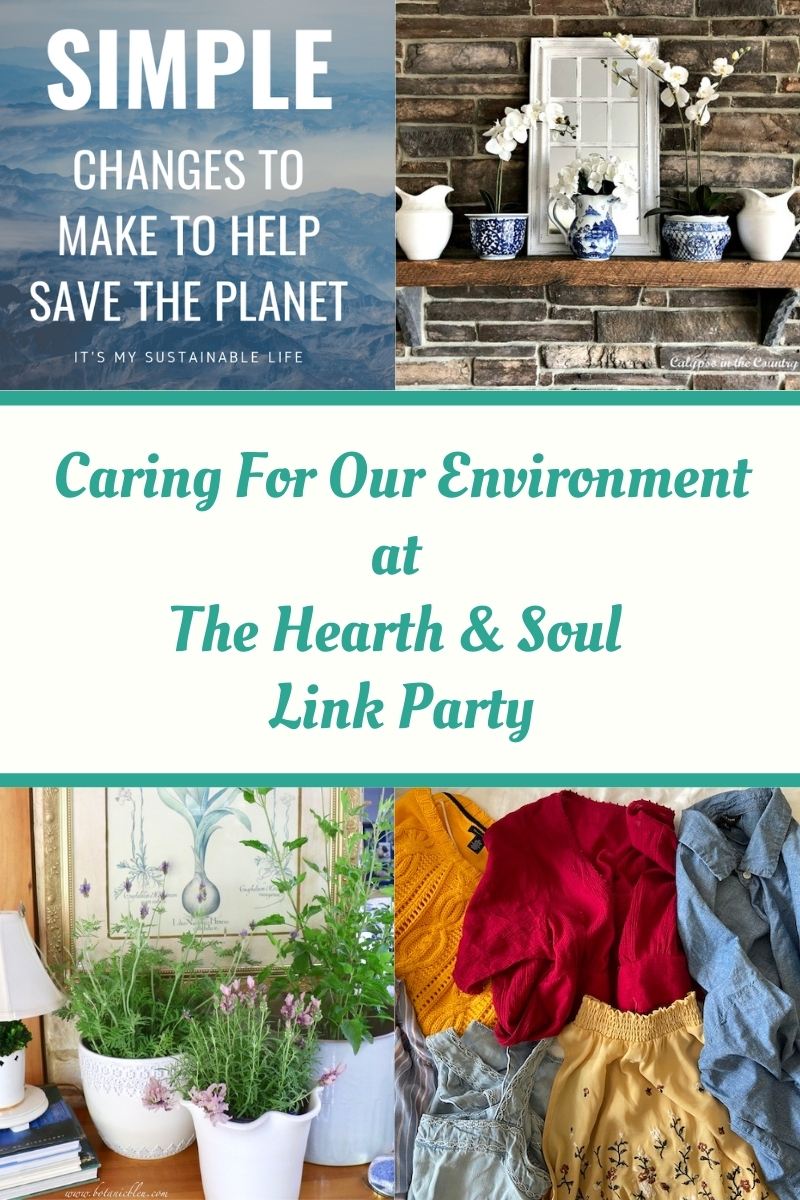Caring for our environment featured posts at the Hearth and Soul Link Party