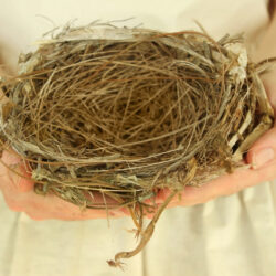 Finding Yourself Again in after the kids leave home - an empty nest