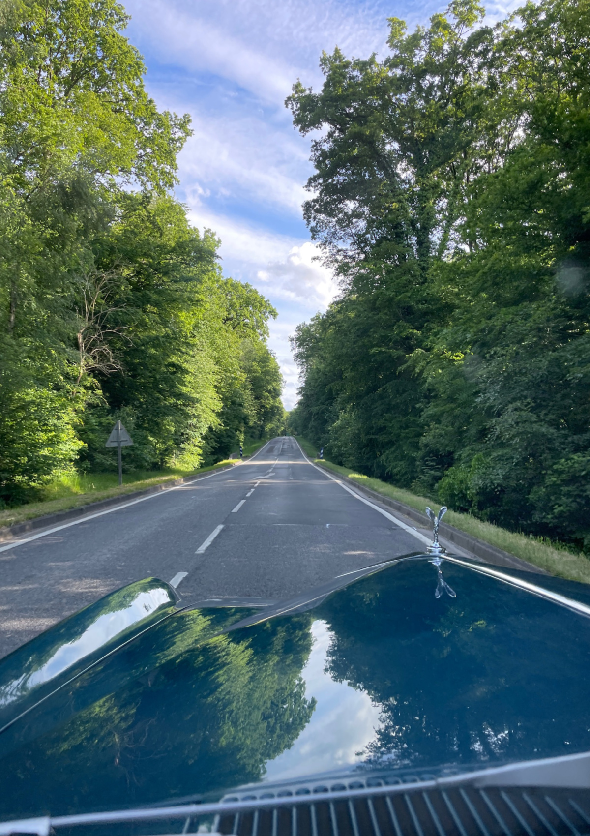 A photograph of a tree lined road in the Loire Valley taken over the bonnet of a Rolls Royce Silver Shadow 2